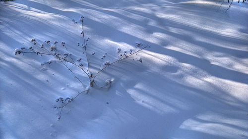 Full frame shot of snow