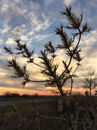 Scenic view of field against cloudy sky