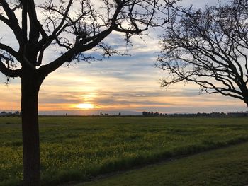 Scenic view of field against sky during sunset