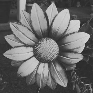 Macro shot of white flower