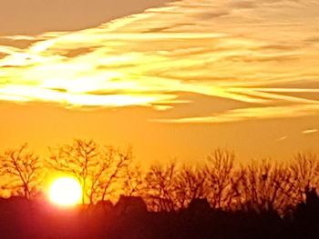 Silhouette trees against sky during sunset