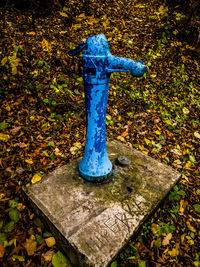 High angle view of blue autumn leaf