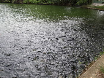 Scenic view of river