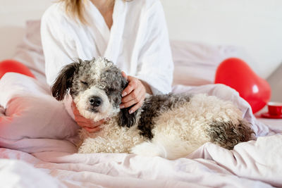 Young beautiful woman sitting on bed with her dog celebrating holiday with red balloons