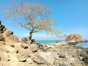 Rock formation by sea against clear blue sky