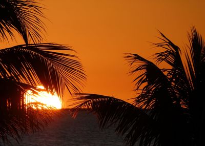 Silhouette palm trees against romantic sky at sunset
