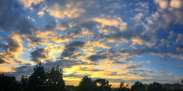 Low angle view of silhouette trees against dramatic sky