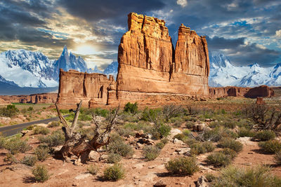 Plants growing on rock against cloudy sky