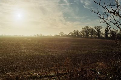 Scenic view of field against sky