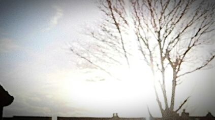 Low angle view of bare trees against sky