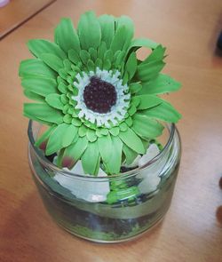 High angle view of flower pot on table