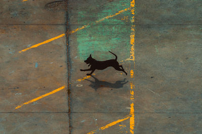 High angle view of yellow leaf on sidewalk