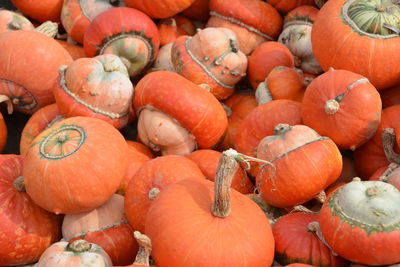 Full frame shot of pumpkins for sale in market