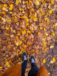 Low section of person standing on autumn leaves