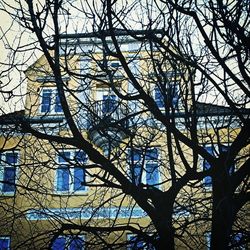 Low angle view of bare trees against sky