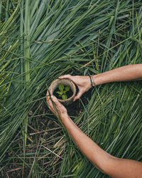 High angle view of woman planting a plant around grass