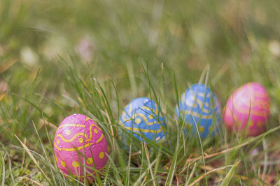 Multi colored eggs on field
