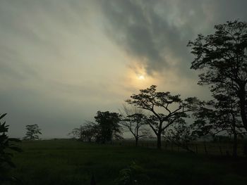 Silhouette trees on field against sky at sunset