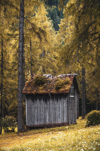 Old mountain hut in the dolomites