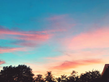 Low angle view of trees against dramatic sky