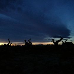 Silhouette of horse on landscape against sky