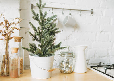 Christmas tree in white pot on bright kitchen, cozy home