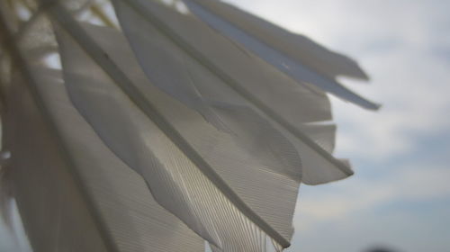 Low angle view of paper against sky