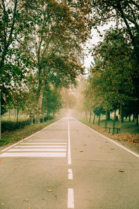 Empty road along trees