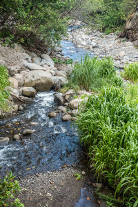 Scenic view of water