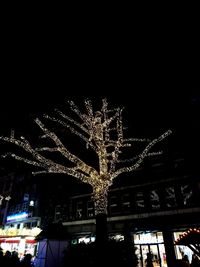 Low angle view of illuminated christmas tree at night