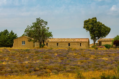 House on field against sky