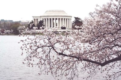 View of built structure with trees in background