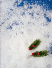 Close-up of christmas tree