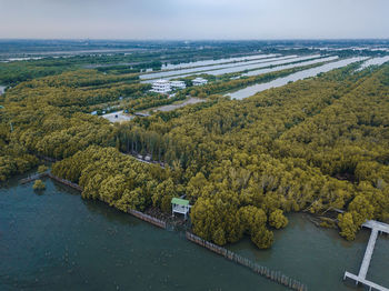 High angle view of trees by sea against sky