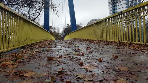 Surface level of leaves on bridge against sky