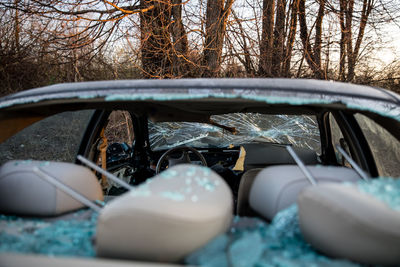 Close-up of car on field