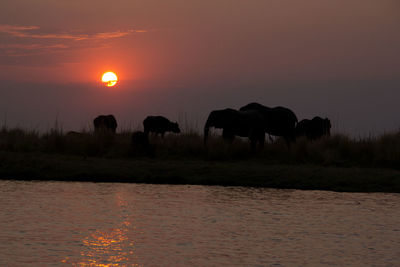 Silhouette of people in lake against sunset sky