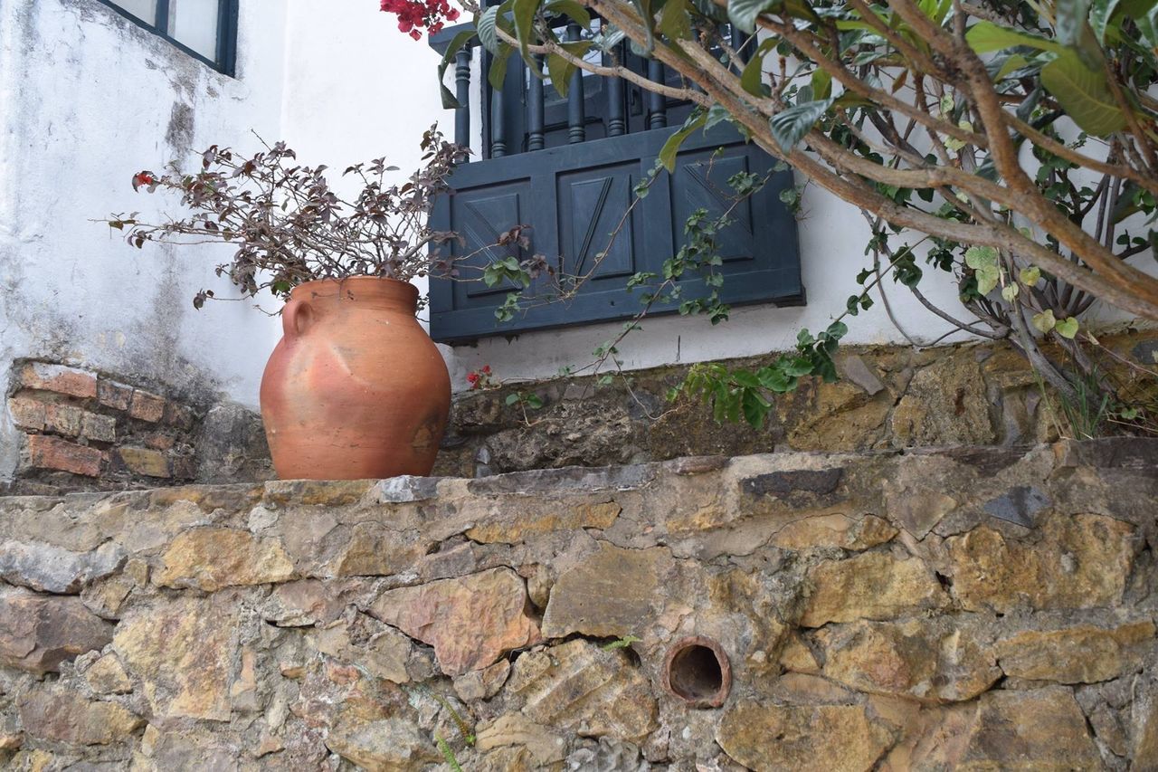 built structure, architecture, building exterior, wall - building feature, plant, wall, stone wall, house, brick wall, day, growth, outdoors, tree, part of, old, potted plant, cropped, front or back yard