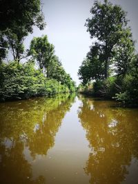 Reflection of trees in lake against sky