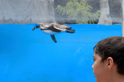 Portrait of boy in swimming pool
