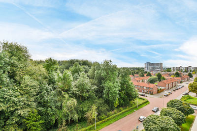 Buildings in city