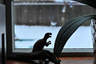 Close-up of dog looking through window