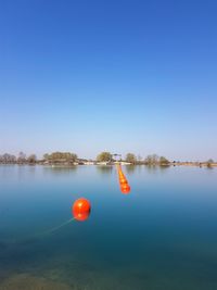 Scenic view of lake against clear blue sky