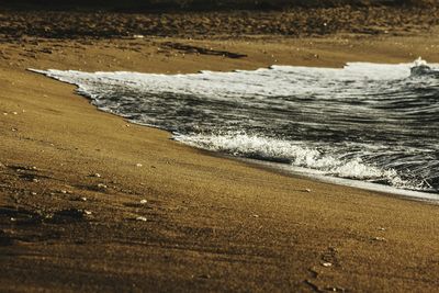 Scenic view of beach