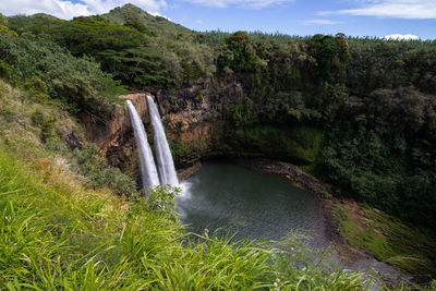 Scenic view of waterfall in forest on kauai