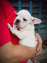 Midsection of woman holding dog