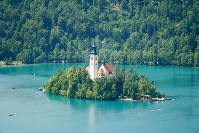 Scenic view of lake by trees and plants