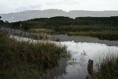 Scenic view of lake against sky