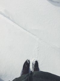 Person standing on snow covered landscape