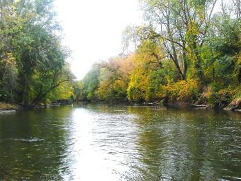 Scenic view of lake in forest during autumn